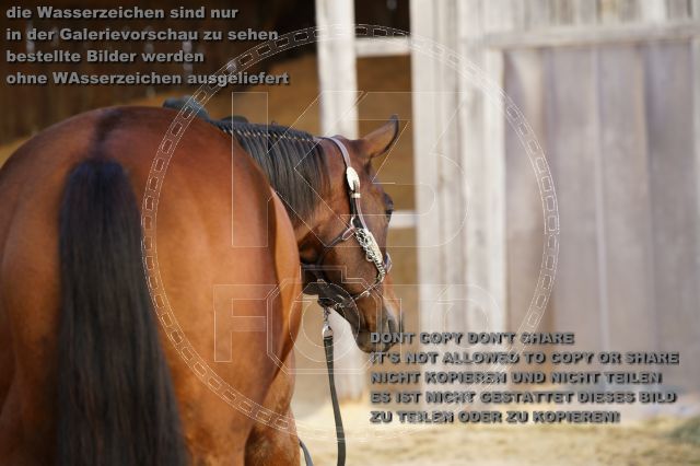s_K3F07685.JPG